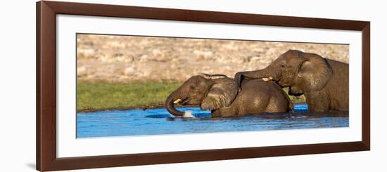 African Elephants (Loxodonta Africana) Bathing at Waterhole, Etosha National Park, Namibia-null-Framed Photographic Print