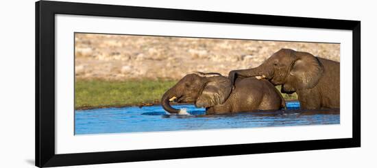 African Elephants (Loxodonta Africana) Bathing at Waterhole, Etosha National Park, Namibia-null-Framed Photographic Print