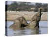 African Elephants, Loxodonta Africana, Bathing, Etosha National Park, Namibia, Africa-Ann & Steve Toon-Stretched Canvas