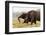 African Elephants (Loxodonta Africana), Chobe National Park, Botswana, Africa-Sergio Pitamitz-Framed Photographic Print