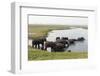 African Elephants (Loxodonta Africana), Chobe National Park, Botswana, Africa-Sergio Pitamitz-Framed Photographic Print