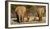 African Elephants (Loxodonta Africana) Family Standing at Waterhole, Etosha National Park, Namibia-null-Framed Photographic Print