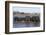 African elephants (Loxodonta africana) in water, Zimanga game reserve, KwaZulu-Natal-Ann and Steve Toon-Framed Photographic Print