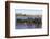 African elephants (Loxodonta africana) in water, Zimanga game reserve, KwaZulu-Natal-Ann and Steve Toon-Framed Photographic Print