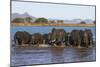 African elephants (Loxodonta africana) in water, Zimanga game reserve, KwaZulu-Natal-Ann and Steve Toon-Mounted Photographic Print