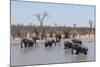 African Elephants (Loxodonta Africana), Khwai Concession, Okavango Delta, Botswana, Africa-Sergio Pitamitz-Mounted Photographic Print