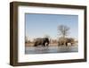 African Elephants (Loxodonta Africana), Khwai Concession, Okavango Delta, Botswana, Africa-Sergio Pitamitz-Framed Photographic Print