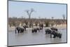 African Elephants (Loxodonta Africana), Khwai Concession, Okavango Delta, Botswana, Africa-Sergio Pitamitz-Mounted Photographic Print