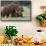 African elephants, Loxodonta africana, Tsavo, Kenya.-Sergio Pitamitz-Framed Stretched Canvas displayed on a wall