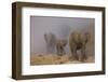 African elephants, Mashatu Reserve, Botswana-Art Wolfe-Framed Photographic Print