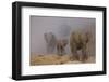 African elephants, Mashatu Reserve, Botswana-Art Wolfe-Framed Photographic Print