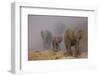 African elephants, Mashatu Reserve, Botswana-Art Wolfe-Framed Photographic Print