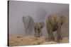 African elephants, Mashatu Reserve, Botswana-Art Wolfe-Stretched Canvas