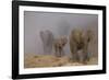 African elephants, Mashatu Reserve, Botswana-Art Wolfe-Framed Photographic Print