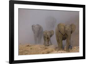 African elephants, Mashatu Reserve, Botswana-Art Wolfe-Framed Photographic Print