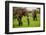 African Elephants on Safari, Mizumi Safari Park, Tanzania, East Africa, Africa-Laura Grier-Framed Photographic Print