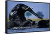 African Elephants Playing in River-Paul Souders-Framed Stretched Canvas