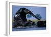 African Elephants Playing in River-Paul Souders-Framed Photographic Print