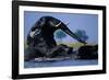 African Elephants Playing in River-Paul Souders-Framed Photographic Print