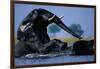 African Elephants Playing in River-Paul Souders-Framed Photographic Print