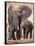 African Elephants, Tarangire National Park, Tanzania-Art Wolfe-Framed Stretched Canvas