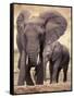 African Elephants, Tarangire National Park, Tanzania-Art Wolfe-Framed Stretched Canvas