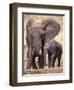 African Elephants, Tarangire National Park, Tanzania-Art Wolfe-Framed Premium Photographic Print