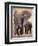 African Elephants, Tarangire National Park, Tanzania-Art Wolfe-Framed Premium Photographic Print