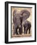 African Elephants, Tarangire National Park, Tanzania-Art Wolfe-Framed Premium Photographic Print