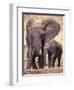 African Elephants, Tarangire National Park, Tanzania-Art Wolfe-Framed Premium Photographic Print