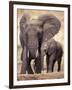 African Elephants, Tarangire National Park, Tanzania-Art Wolfe-Framed Premium Photographic Print