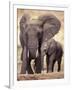 African Elephants, Tarangire National Park, Tanzania-Art Wolfe-Framed Premium Photographic Print