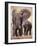 African Elephants, Tarangire National Park, Tanzania-Art Wolfe-Framed Photographic Print