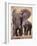 African Elephants, Tarangire National Park, Tanzania-Art Wolfe-Framed Photographic Print