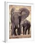 African Elephants, Tarangire National Park, Tanzania-Art Wolfe-Framed Photographic Print