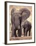 African Elephants, Tarangire National Park, Tanzania-Art Wolfe-Framed Photographic Print