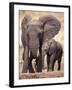 African Elephants, Tarangire National Park, Tanzania-Art Wolfe-Framed Photographic Print