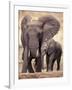 African Elephants, Tarangire National Park, Tanzania-Art Wolfe-Framed Photographic Print