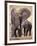 African Elephants, Tarangire National Park, Tanzania-Art Wolfe-Framed Photographic Print