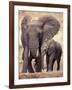 African Elephants, Tarangire National Park, Tanzania-Art Wolfe-Framed Photographic Print