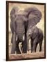 African Elephants, Tarangire National Park, Tanzania-Art Wolfe-Framed Photographic Print