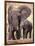 African Elephants, Tarangire National Park, Tanzania-Art Wolfe-Framed Photographic Print