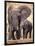 African Elephants, Tarangire National Park, Tanzania-Art Wolfe-Framed Photographic Print