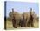 African Elephants, Using Trunks to Scent for Danger, Etosha National Park, Namibia-Tony Heald-Stretched Canvas
