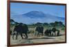 African Elephants Walking in Savanna-DLILLC-Framed Photographic Print