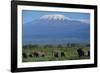 African Elephants Walking in Savanna-DLILLC-Framed Photographic Print