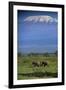 African Elephants Walking in Savanna-DLILLC-Framed Photographic Print