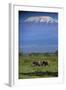 African Elephants Walking in Savanna-DLILLC-Framed Photographic Print