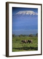 African Elephants Walking in Savanna-DLILLC-Framed Photographic Print