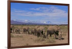 African Elephants Walking in Savanna-DLILLC-Framed Photographic Print